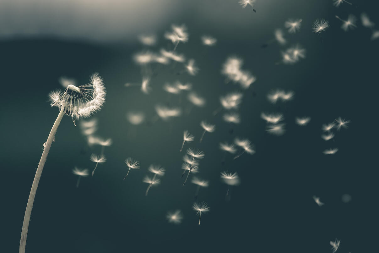 Photo by Saad Chaudhry on Unsplash.com